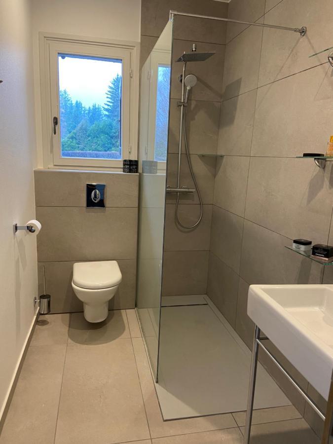 Chalet Pleine Vue & Spa Chamonix Eksteriør billede